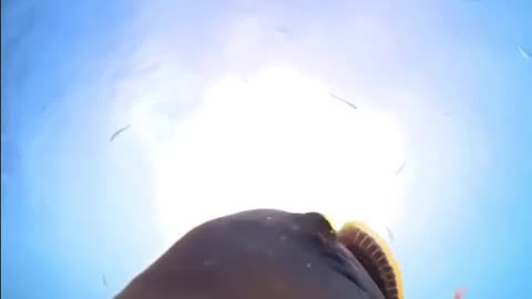 I never watched this view in my life before🥺😮