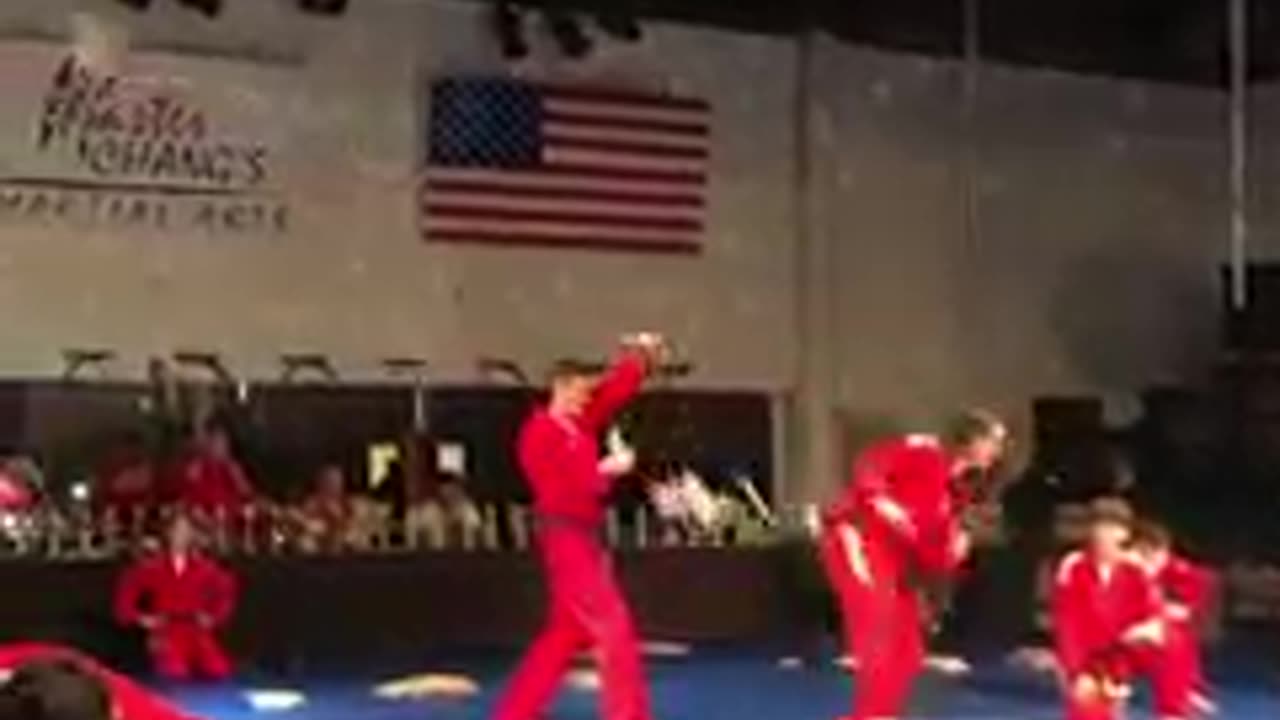 Taekwondo