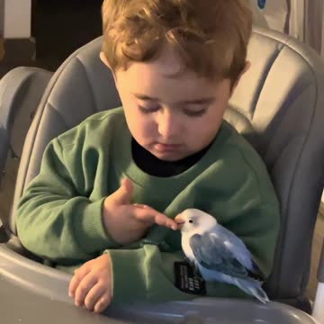 A lovebird and His Best Friend