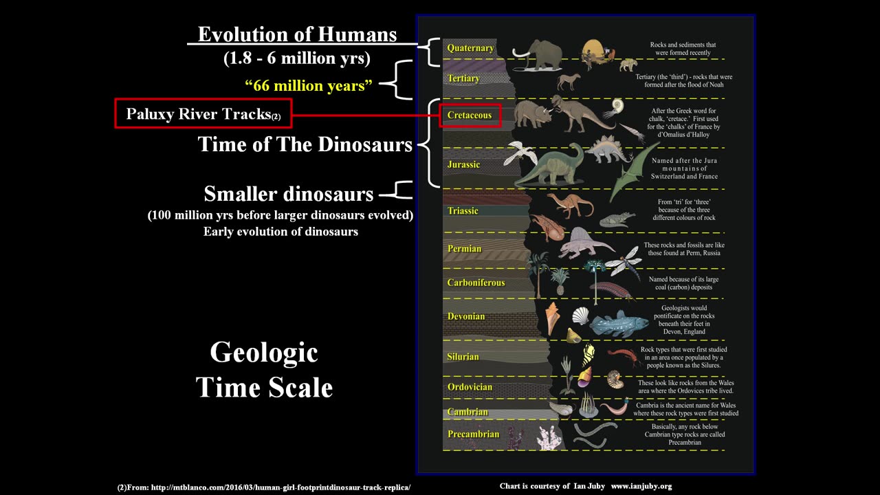 Dinosaur and Human Female Fossil Track