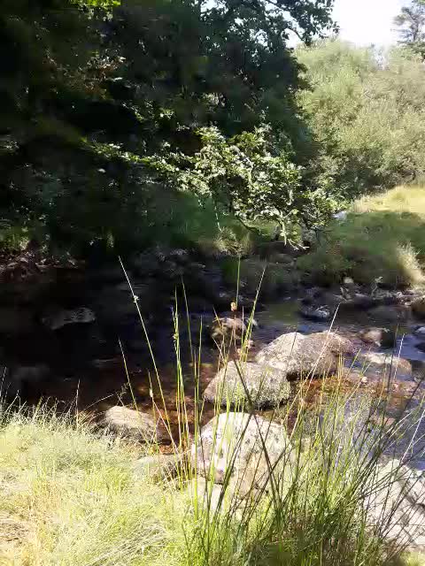 Panaromic view of a riverside wildcamp. AUG 2022