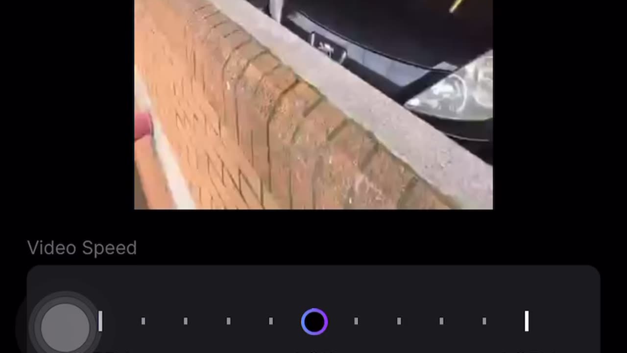 Real Stunt man