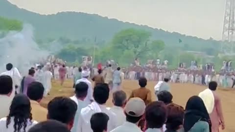 Bull race starting