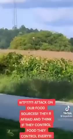 Attack on our food