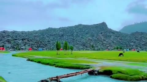 Beautiful nature relaxing