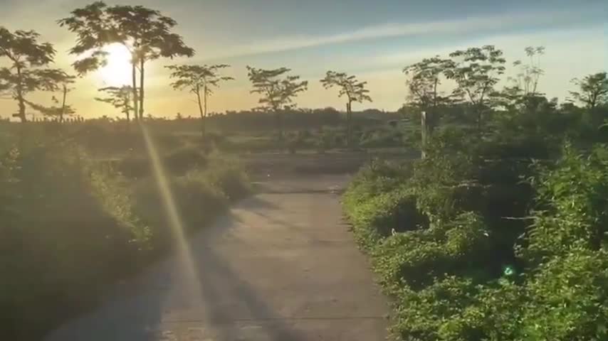 Calm down and walk around