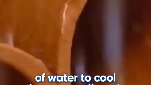 This cooler does not require electricity!