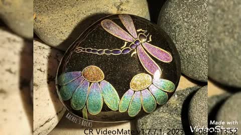 Amazing and elegant dragon fly painting on rock and stone