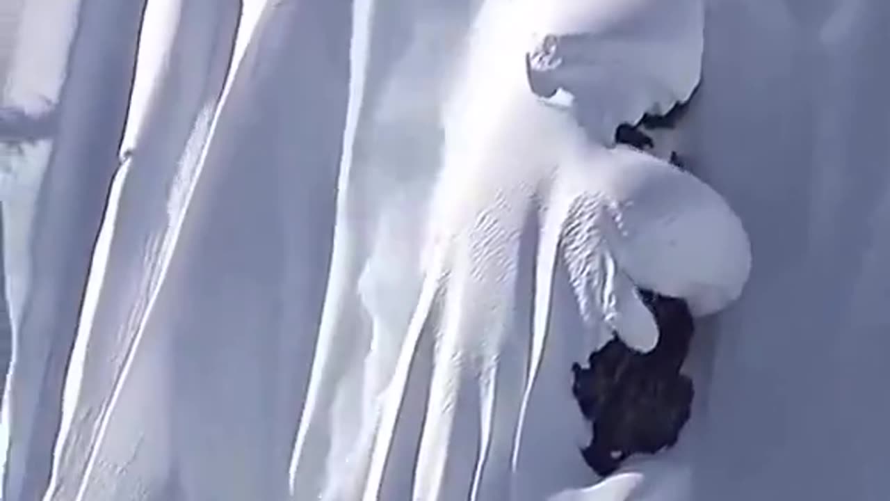 Professional Snowboarder