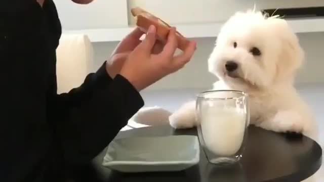 I'm so greedy for it