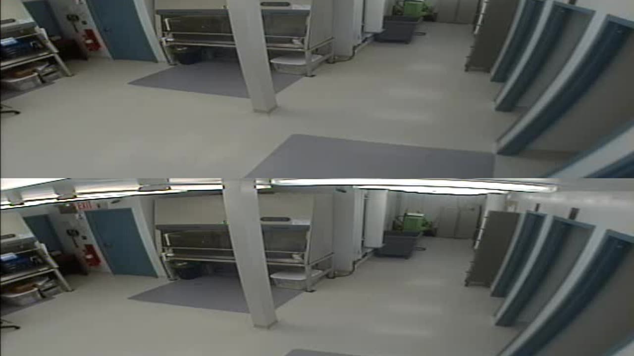 1702CRIB01CribAnalysisArea_2021-01-06_16h00min03s107ms.mp4