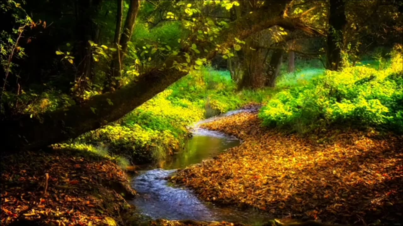 Relaxing Music | Sleeping, Meditation, Stress Relief | [7855] ⭐️