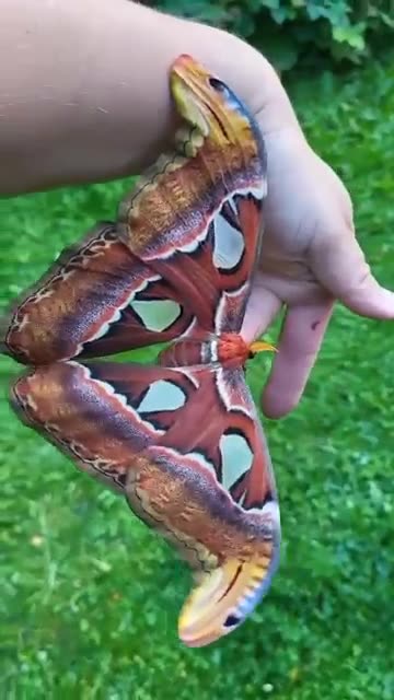 THE NEED FOR SALVATION - DAILY DEVOTIONAL ❤️