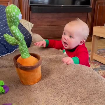 the baby and the toy