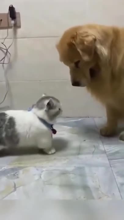 SHORT PEOPLE PROBLEMS 😂