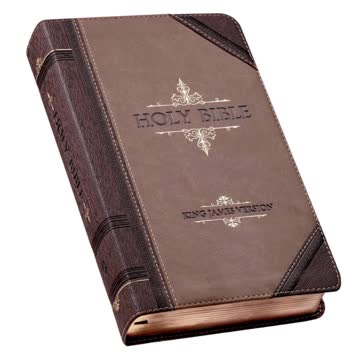 King James Version Holy Bible, Giant Print Standard Size Faux Leather Red Letter Edition