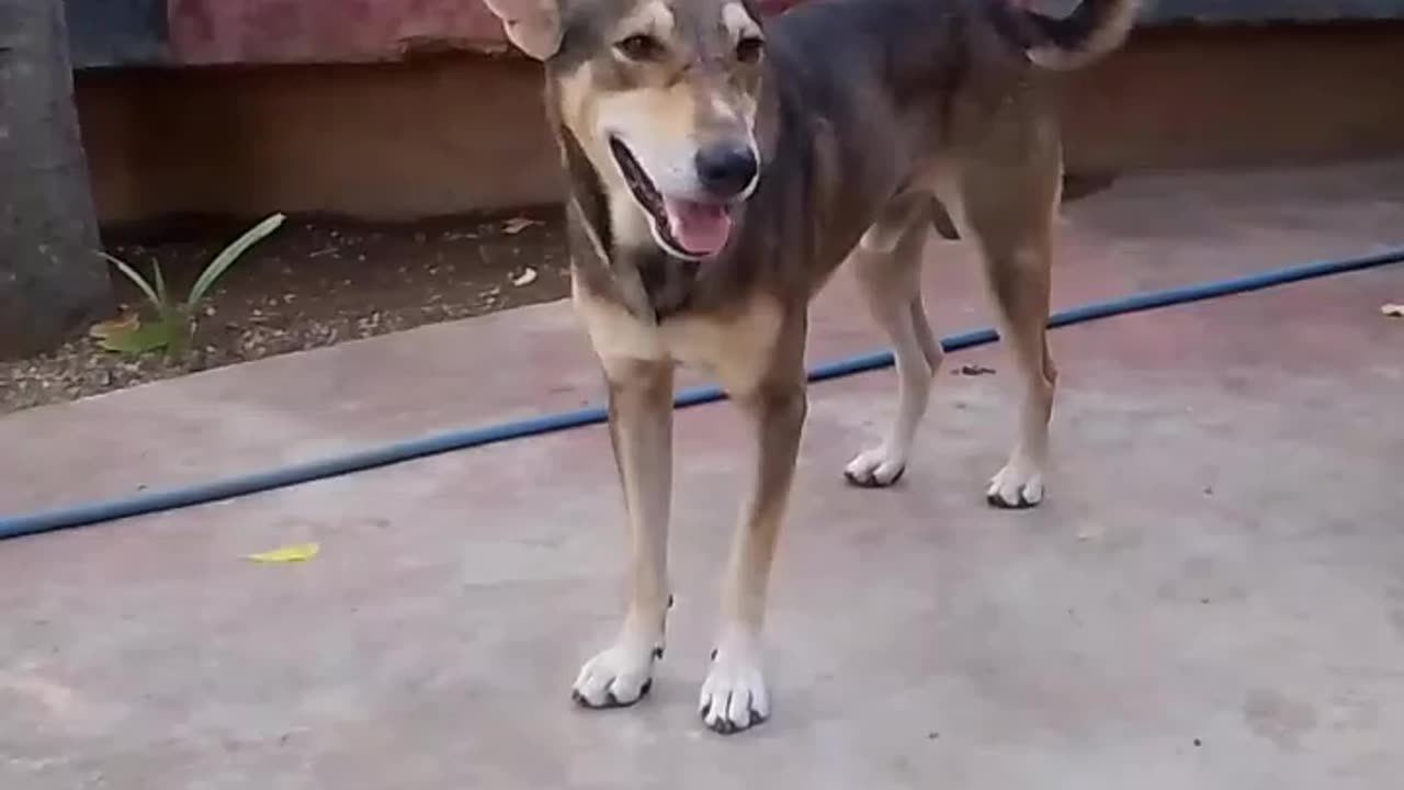 Funny 🤣 reels