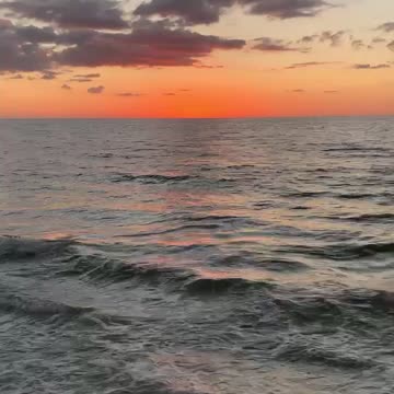 Thanksgiving week!!! 🦃🦃🦃