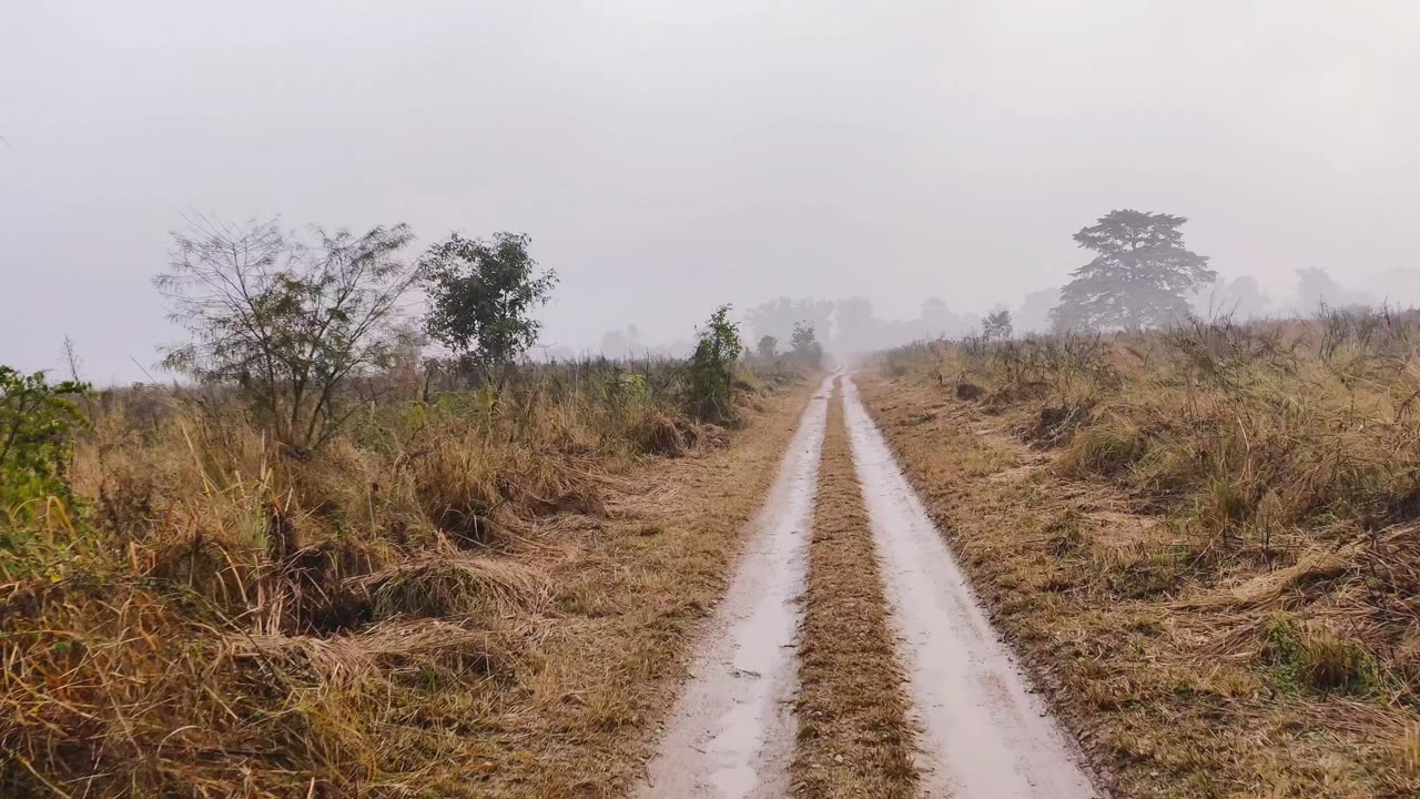 Jim Corbett national park