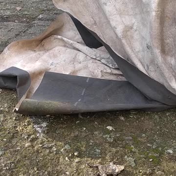 Enola and Philemon when they were little.