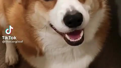 😅