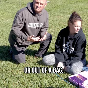 What Is Puppy Breathe?