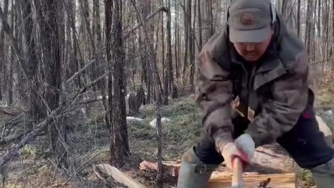 Wood cutting