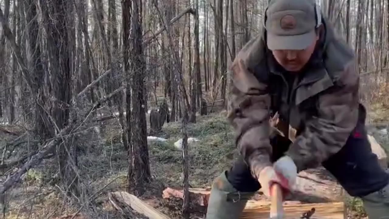 Wood cutting