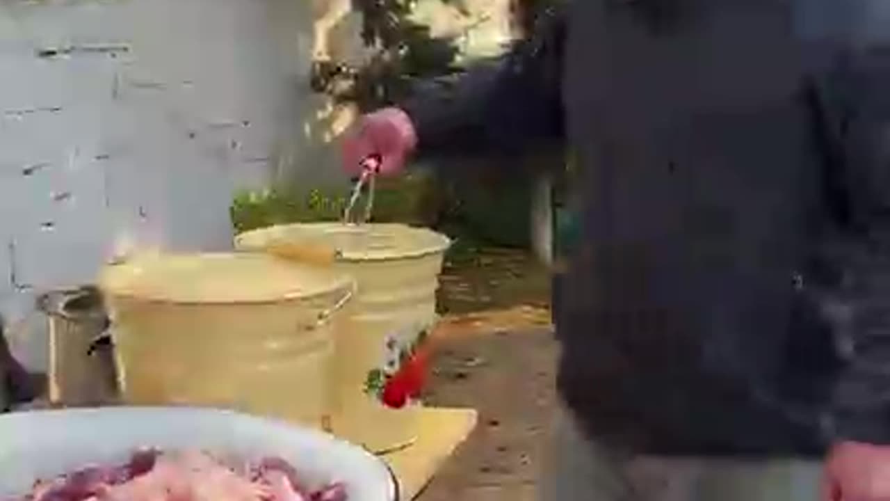 Butchering A whole Lamb Fattest lamb to cooked it
