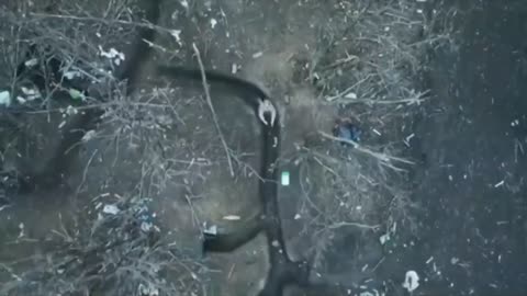 Not just bombs but morning coffee 🫡