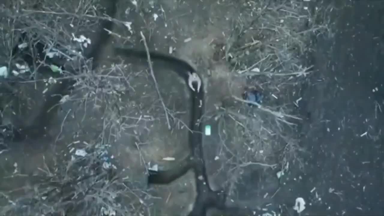 Not just bombs but morning coffee 🫡