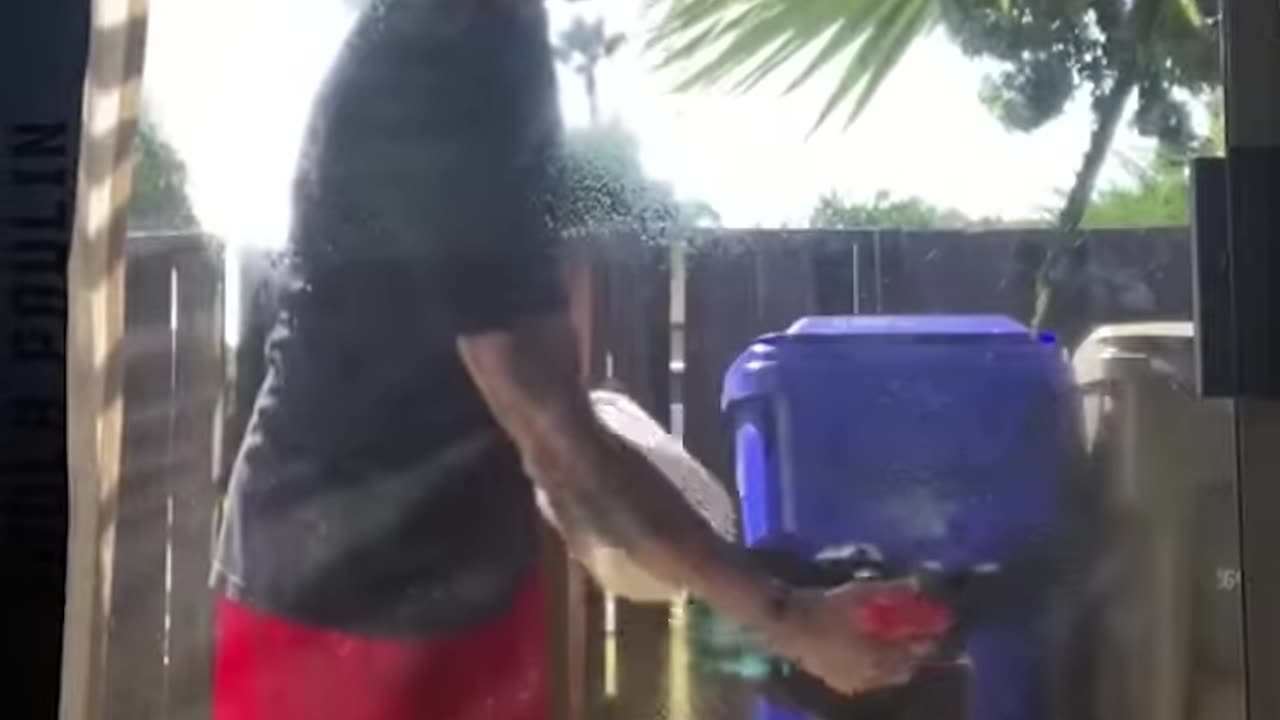 Hilarious Dog Moments