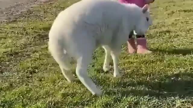 Little child playing with kid