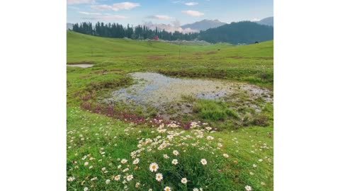 Kashmir