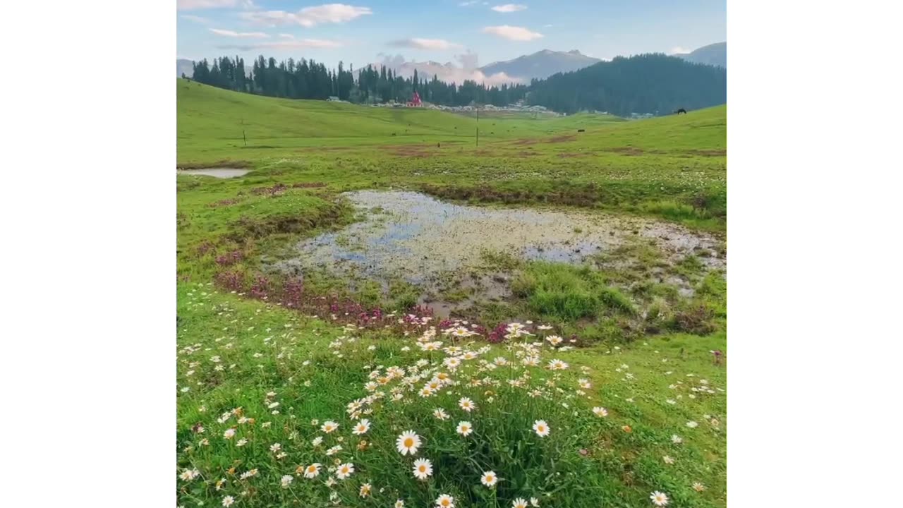 Kashmir