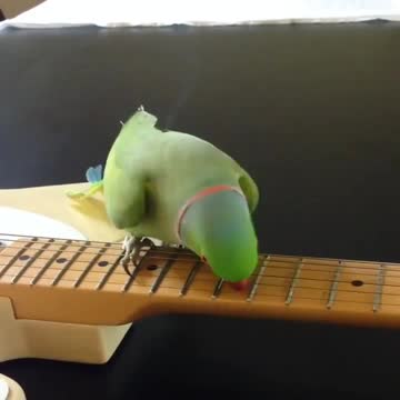 He's a natural performer