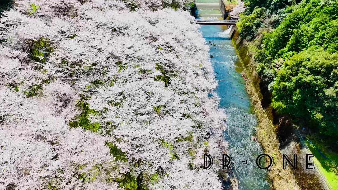 sakura by Mavic 3