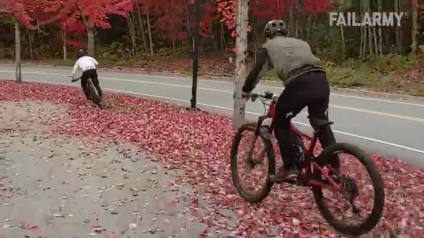 Idiots On Bikes