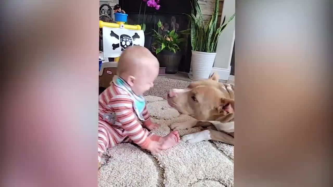 Cutest Babies Play With Dogs And Cats Compilation || Cool Peachy