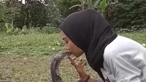 Relationship With Cobras #shorts #shortvideo #youtubeshorts #video #virals