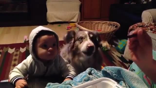 Cute baby learning to talk with mother and dog