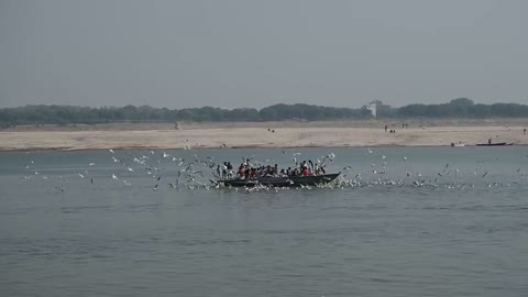 Varanasi. Birds and ship.