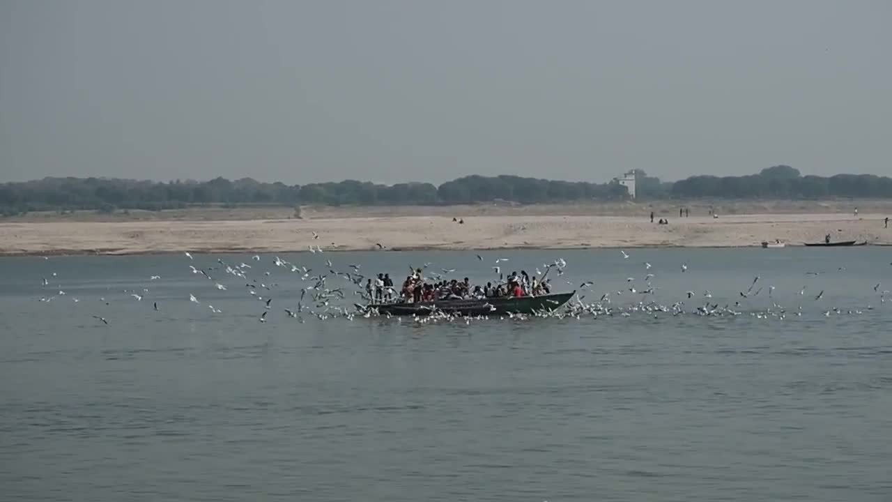 Varanasi. Birds and ship.