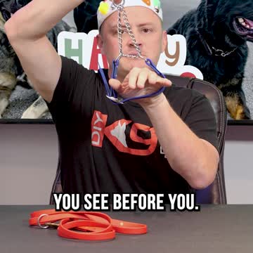 The 3 Best Gifts to Get Your Dog or Puppy