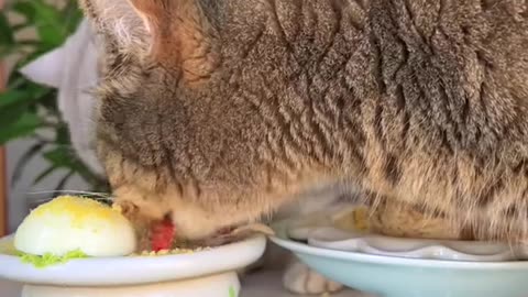 How to amazing fitness man ♂️ uy to make