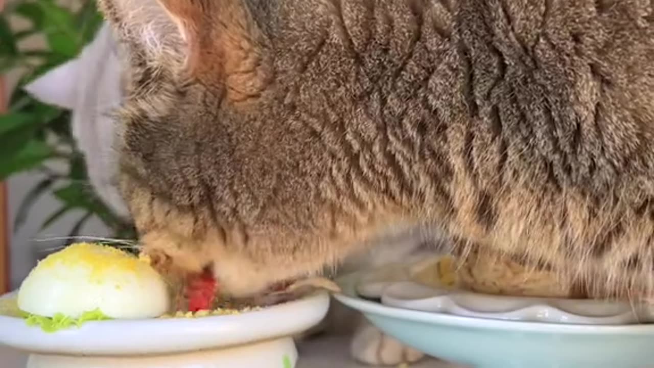 How to amazing fitness man ♂️ uy to make