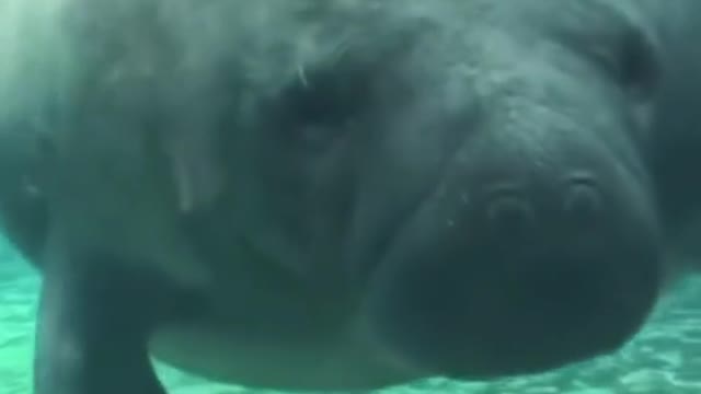 Wait for it 🤣🤣