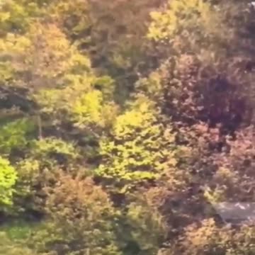 Iran President Raisi’s helicopter found, ‘no sign of life’