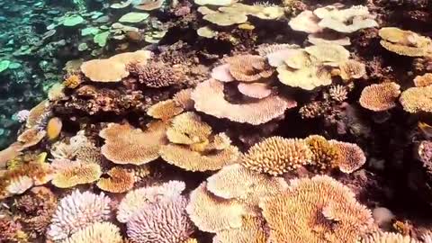 I want to meet people who love miyakojima.