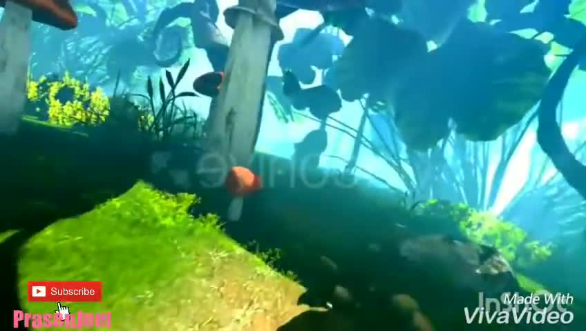 Amazing 3D Mashrum Jungle Video By Prasenjeet Meshram